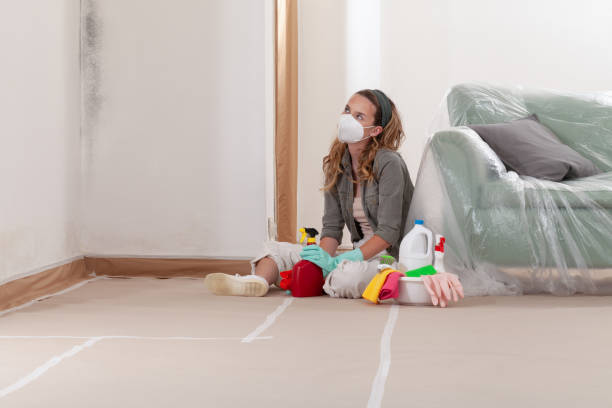 Reliable Black Mold Remediation contractor in Chatham, NJ by Car Mold Remediation